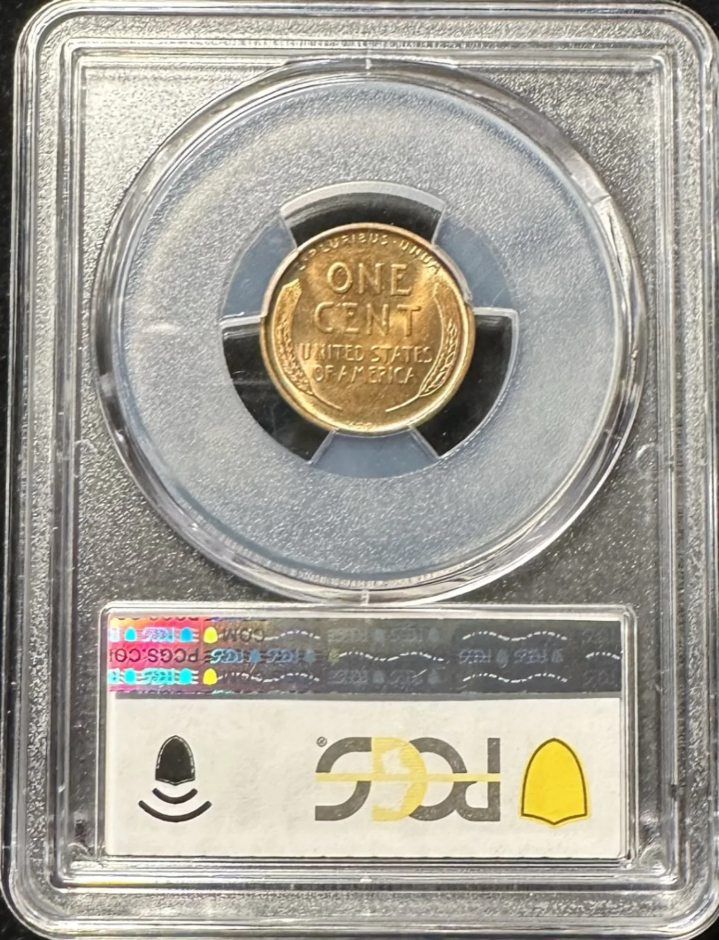 Reverse of the same sealed PCGS holder showing the coin's reverse and the hologram security strip