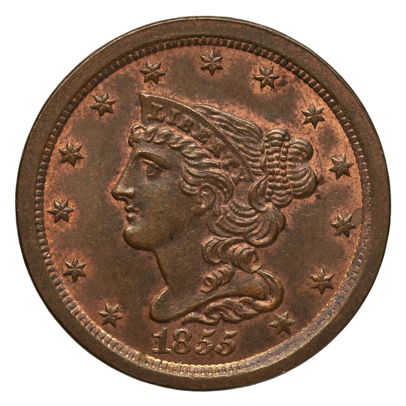 Obverse of an 1855 Braided Hair half cent showing the coronet band inscribed LIBERTY, the hair drawn back into a beaded braided bun behind the head, thirteen stars and the date 1855