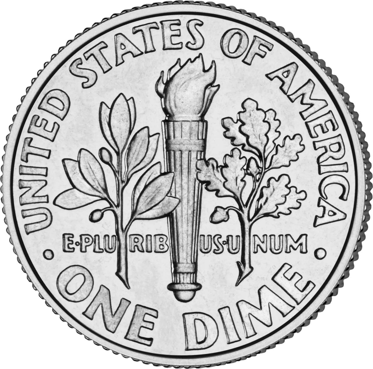 Reverse of a 2005 Roosevelt dime showing the lit torch flanked by an olive branch and an oak branch, with E PLURIBUS UNUM running through the torch