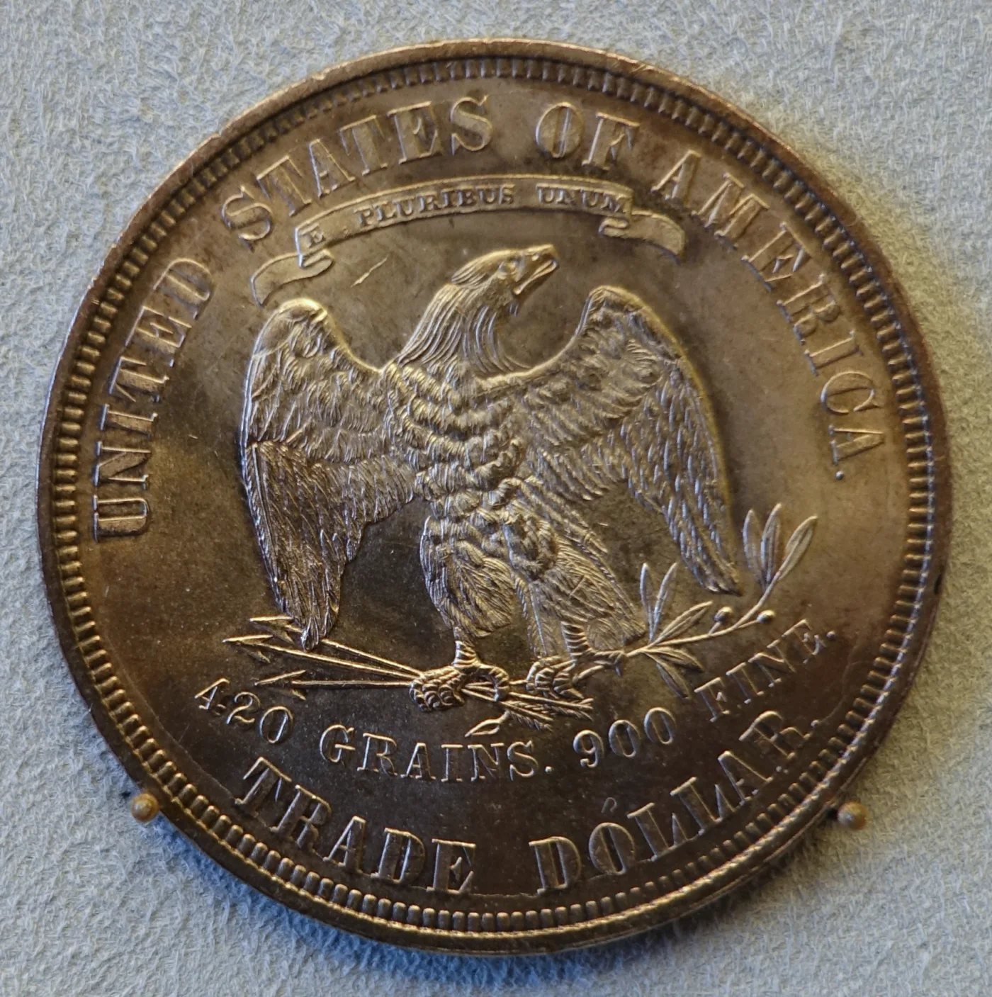 Reverse of a Philadelphia Trade Dollar in a museum mount, with no mint mark in the space between 900 FINE and TRADE DOLLAR